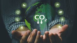 Reed & Mackay ‘enhances’ CO2 data on booking platform